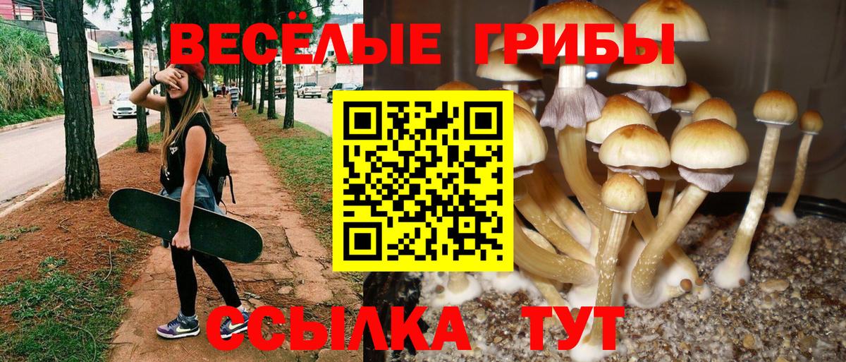 Псилоцибиновые грибы ЛСД  Вход с VPN  Азов 