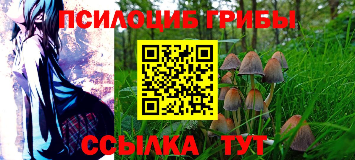 Псилоцибиновые грибы Magic Shrooms Азов